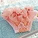 Bro'Bear Washable & Elastic Floral Female Dog Diaper Sanitary Panties Puppy Lace Underwear Pink (Large)