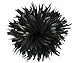 BLACK COQUE Rooster Tail Feathers: 4-7