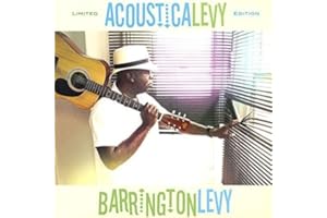 Acousticalevy (Vinyl)