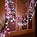 Quntis Cluster Christmas String Lights Pink &White, 400 LED 8 Twinkle Modes 13FT Globe Fairy Lights for Xmas Tree Bedroom Indoor Outdoor Valentine Wedding Holiday (Plug in, Connectable, Waterproof)