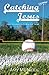 Catching Jesus: Daily Devotions with a Baseball Theme by Amy McNeill
