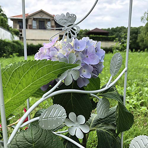 CJSWT Rankhilfe Rankgerüst Kletterpflanzen,Obelisken, Pflanzendesign Garten Gitter, Für Im Freien Kletterer Blumen und… – Bild 4