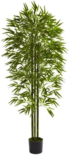 6' Bamboo Tree UV Resistant (Indoor/Outdoor)