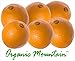 Navel Oranges from Organic Mountain