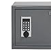 First Alert 2072F Anti-Theft Safe with Digital Lock, 1.00 Cubic Foot, Gray