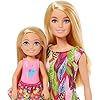 Barbie-GTM82-DHA-SP-Barbie-Chelsea-Story-Set Barbie and Chelsea The Lost Birthday Playset with 2 Dolls, 3 Pets & Accessories, Gift for 3 to 7 Year Olds - GTM82