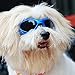 Pet Dog Sunglasses, Dog Goggles Eye Wear Shatterproof Lens Waterproof Pet Sunglasses for Dogs (Blue)