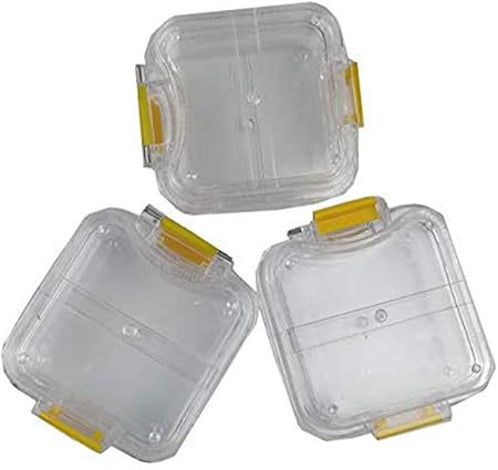 Tree Caja De Dientes De Membrana Transparente Hecha A Mano De ...