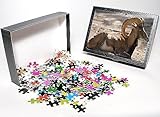 Photo Jigsaw Puzzle of Punjab Urial Sheep - male