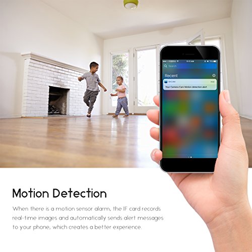 Hidden Camera, FREDI