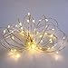 2 Pack Battery Operated Mini Lights,Indoor Led Fairy Lights with Timer 6 Hours on/18 Hours Off for Wedding Party Decorations,50 Count LEDs,18 Feet Silver Wire (Warm White)