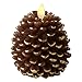 Luminara Pine Cone Candles: 3.5 x 4 Unscented, Battery Operated, Flameless Candles with Timer (Brown) with Gold Accents