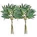 Supla 2 Pack Faux Seeded Eucalyptus Long Leaves Greenery Bouquets Long Leaves Grey Green Atificial Eucalyptus Plants Spray with Fruit Pods for Greenery Wedding Bride Baby Shower Woodland Floral Decor