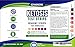 EzyAbsorb Ketone Strips - Perfect for Ketogenic Diet and Diabetics - Precise Ketone Measurement and Supports Ketone Adaptation, 100 Strips