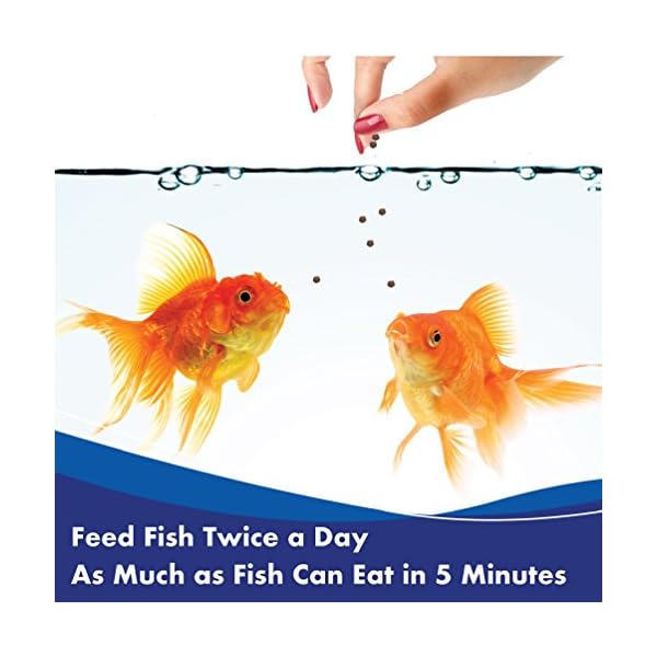 AQUARIAN-Complete-Nutrition-Aquarium-Goldfish-Food-Pellets-Also-Suitable-For-Small-Pond-Fish-100-g-Bag AQUARIAN Complete Nutrition, Aquarium Goldfish Food Pellets Also Suitable For Small Pond Fish, 100 g Bag