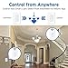 Etekcity ESWL03 Compatible with Alexa, Google Home and IFTTT 15A/1800W, Neutral Wire Required, ETL and FCC Listed-2 Units (2 Pack)