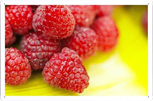 Tin Sign Poster Raseberrys (20x30cm) By Nature Scene Painting