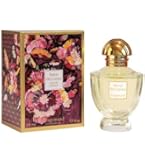Amazon.com : Fragonard Parfumeur Reine des Coeurs Eau de Parfum