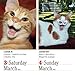 365 Cats 2018 Color Page-A-Day Calendar