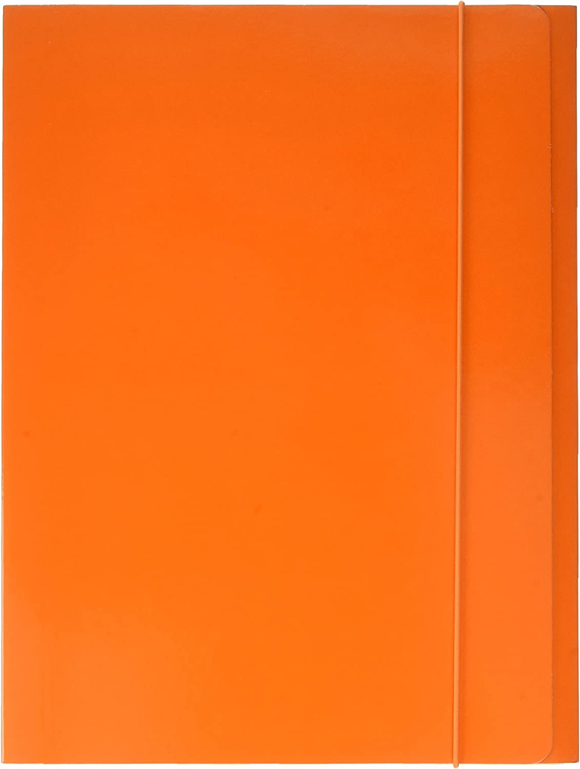 Alevar 2960/OR Elasticated Folder