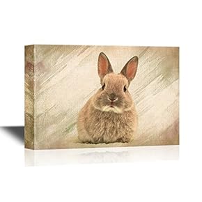 Baby Rabbit on Abstract Background