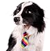 10 Pcs/Pack, GOGO Dog Cat Collar, Neckties, Assorted SET2