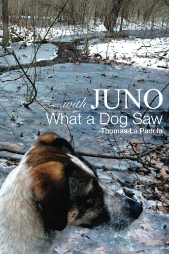 ...with Juno: What a Dog Saw