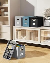 Oterri File Organizer Box with Lid, Hanging Filing