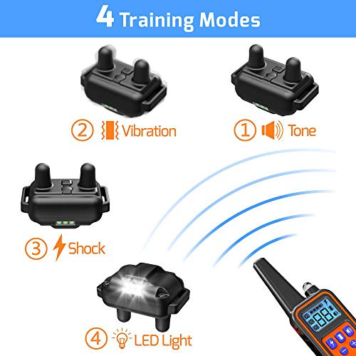 veckle dog training collar