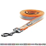 Pawtitas Padded Dog Leash Puppy Leash Reflective Dog Leash Padded Handle Highly Reflective Dog Training Leash 6 ft Leash Orange Leash Medium Dog Leash/Large Dog Leash Orange Dog Leash