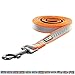 Pawtitas Padded Dog Leash Puppy Leash Reflective Dog Leash Padded Handle Highly Reflective Dog Training Leash 6 ft Leash Orange Leash Medium Dog Leash/Large Dog Leash Orange Dog Leash primary