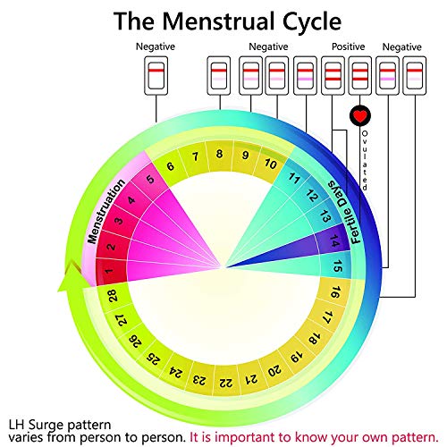 4 Wondfo+Early+Detection+Ovulation+20+Count