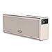 Superway Portable Wireless Bluetooth Speaker Louder Volume Superior Sound with 20W Driver Enhanced Bass and Bluetooth 4.0 Built-in Mic for iPhone, iPad, Samsung, Laptops and More(Aluminum Gold)