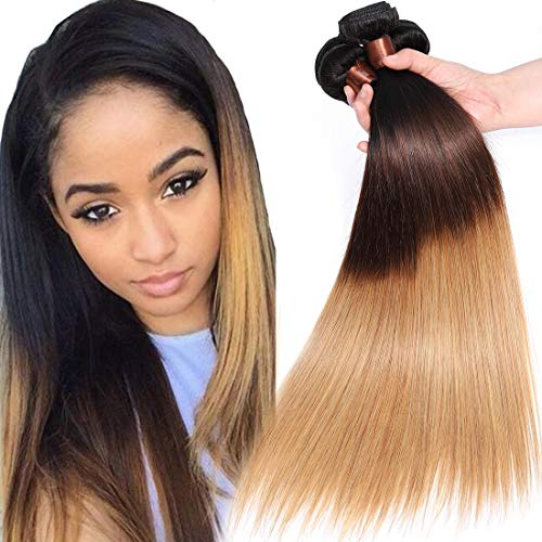 Cranberry Hair Brazilian Virgin Hair Straight Ombre Hair Weft 3