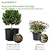 BLOOMSPECT 5-Pack 20 Gallon Grow Bags, Aeration Fabric Pots, Heavy Duty Thickened Nonwoven Plant Container with Handlesthumb 4