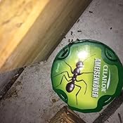 Ameisenplage im garten