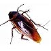 Teanfa 12 PCS Vintage Mock Fake Plastic Cockroach Scorpion Insects Joke Toys Prank Scary Trick Bugs for Party