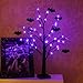Vanthylit Halloween Tree, 2FT Spooky Black Tree Battery Operated with 24 Purple Lights and 8 Bats, Halloween Decorations Indoor Lighted Table Centerpiece with Timer for Mantel Office Haliday Decor