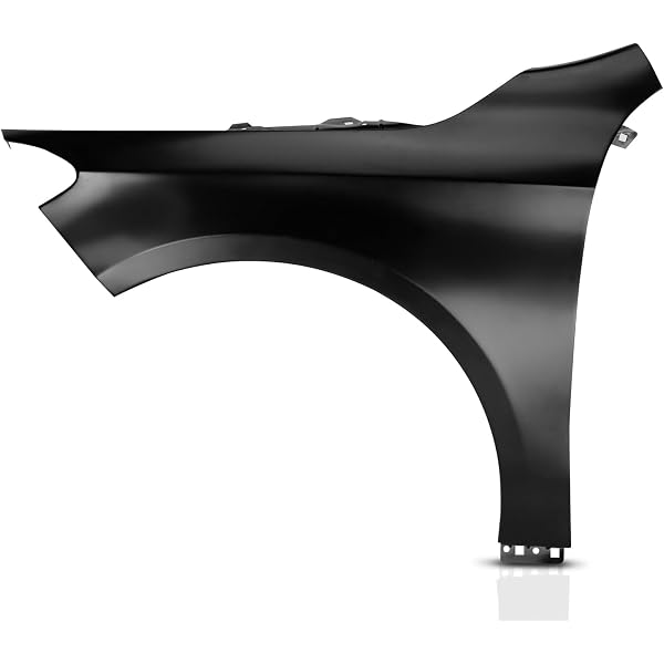 Amazon.com: For BMW X1 2016 2017 2018 Front Fender Driver Side 