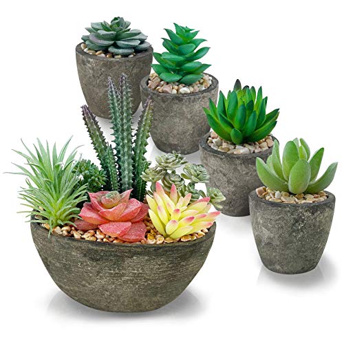 PETAFLOP Lot de 5 Plantes succulentes artificielles réalistes dans des Pots en Ciment - Petites Plantes succulentes artificielles pour la Maison, Le Bureau, la décoration