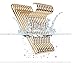 Promotion Aluminum Metal Hangers Clothes Hanger Heavy Duty Organizer Fade-proof Widen Pack of 10 (Gold)