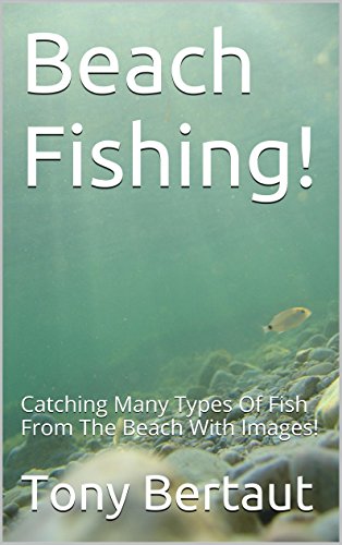 READ Beach Fishing!: Catching Many Types Of Fish From The Beach With Images!<br />Z.I.P