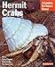 Hermit Crabs (Complete Pet Owner's Manuals) by Sue Fox