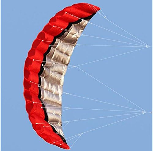 LIQIWI 2.5m Blue Dual Line Parafoil Kite with Flying Tools Power Braid Sailing Kitesurf Rainbow Sports Beach