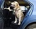 Comfortable & Adjustable Dog Harness by PetPup | Medium Size - Gray Color | Reflective | Safety Car Harness for Dogs | Easy Walk Dog Harness | Lightweight & Breathable Safety Strap Harness for Dogs