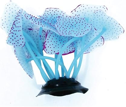 clearance aquarium supplies