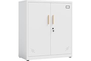 LVSTEEL Metal Storage Cabinet with 2 Doors and 2 Adjustable Shelves, Steel Lockable Garage Storage Cabinet, Metal File Cabinet for Home Office School Gym, White