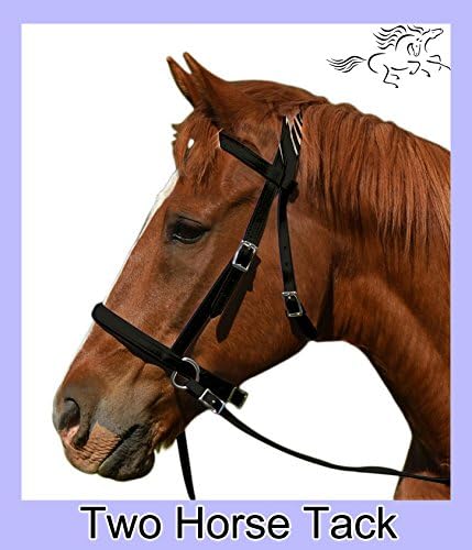 Bitless Bridle &amp; Reins, 2 in 1 Style, Made From Beta Biothane - Warmblood Size, Black Color