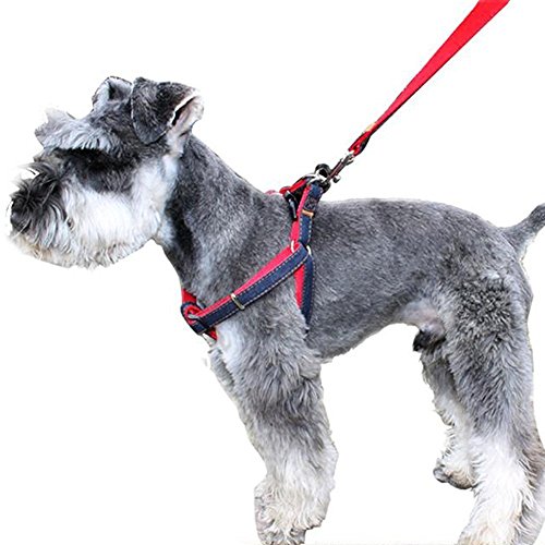IKOCO No-Pull Dog Leash Harness Adjustable and Heavy Duty Denim Dog Training Walking Leash Collar for Large/Medium/Small Dog(M, Red)
