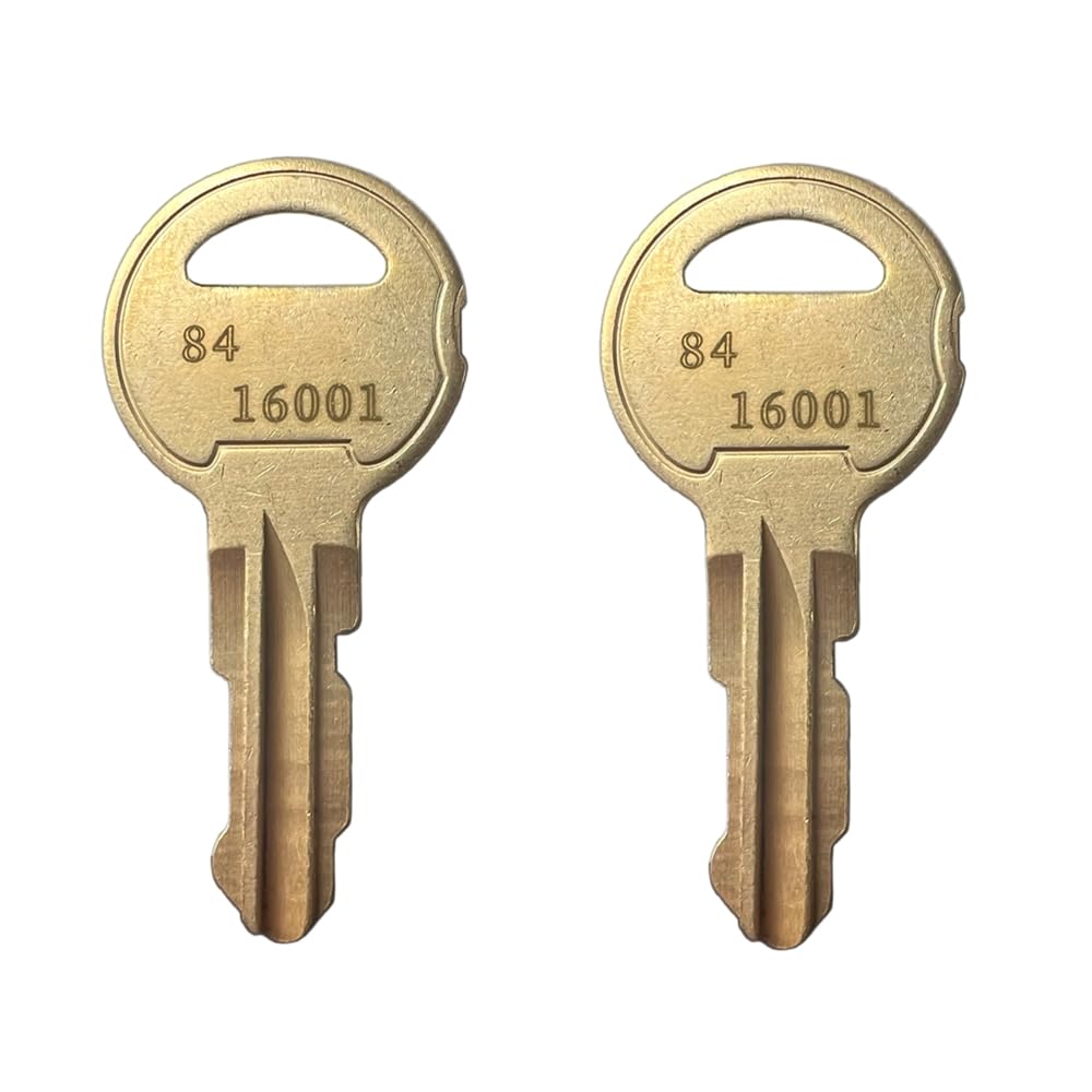 Photo 1 of KeyPower (2) 84-16001, 84 16001 Keys for DKS Doorking Lock 4001-055